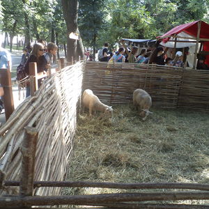 DSC00224