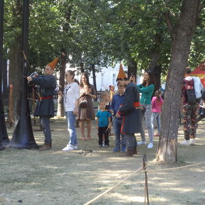 DSC00225