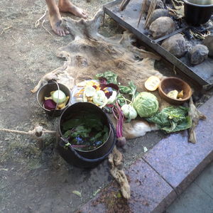 DSC00311