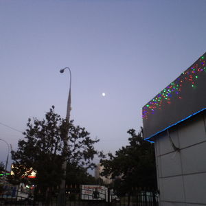 DSC00392
