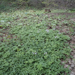 DSC04370