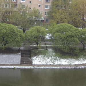 DSC09404